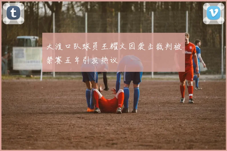大渡口队球员王耀文因袭击裁判被禁赛五年引发热议