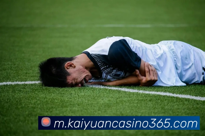 开元真人娱乐平台生态图